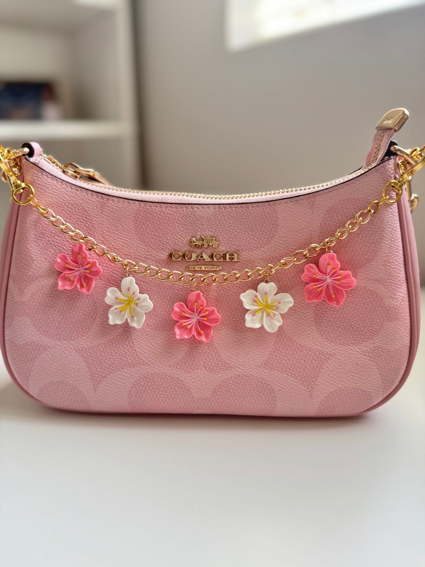Purse chain with charms🎀