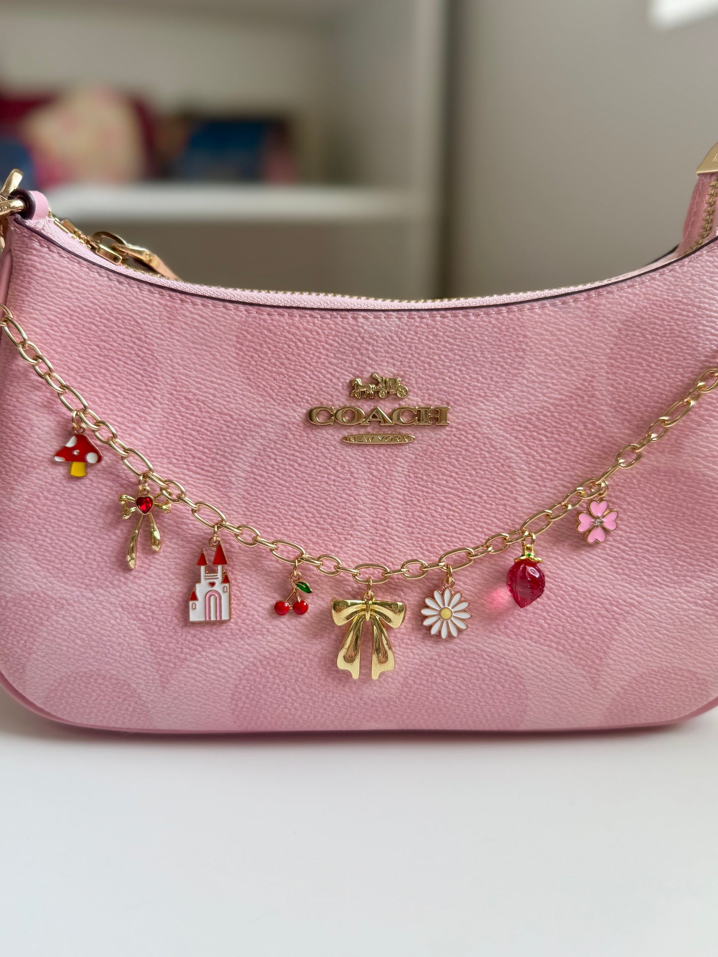 Purse chain with charms🎀