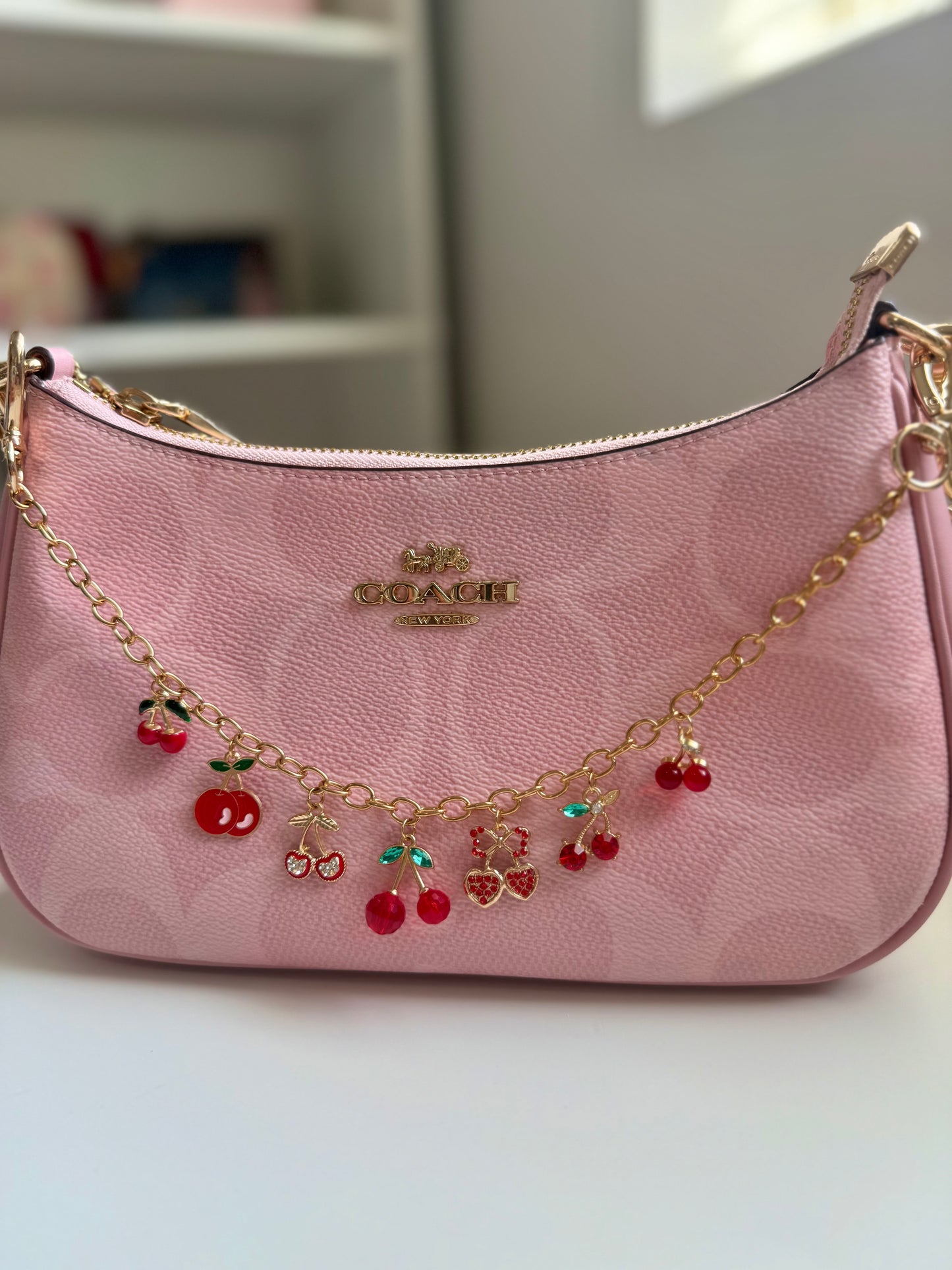 Purse chain with charms🎀
