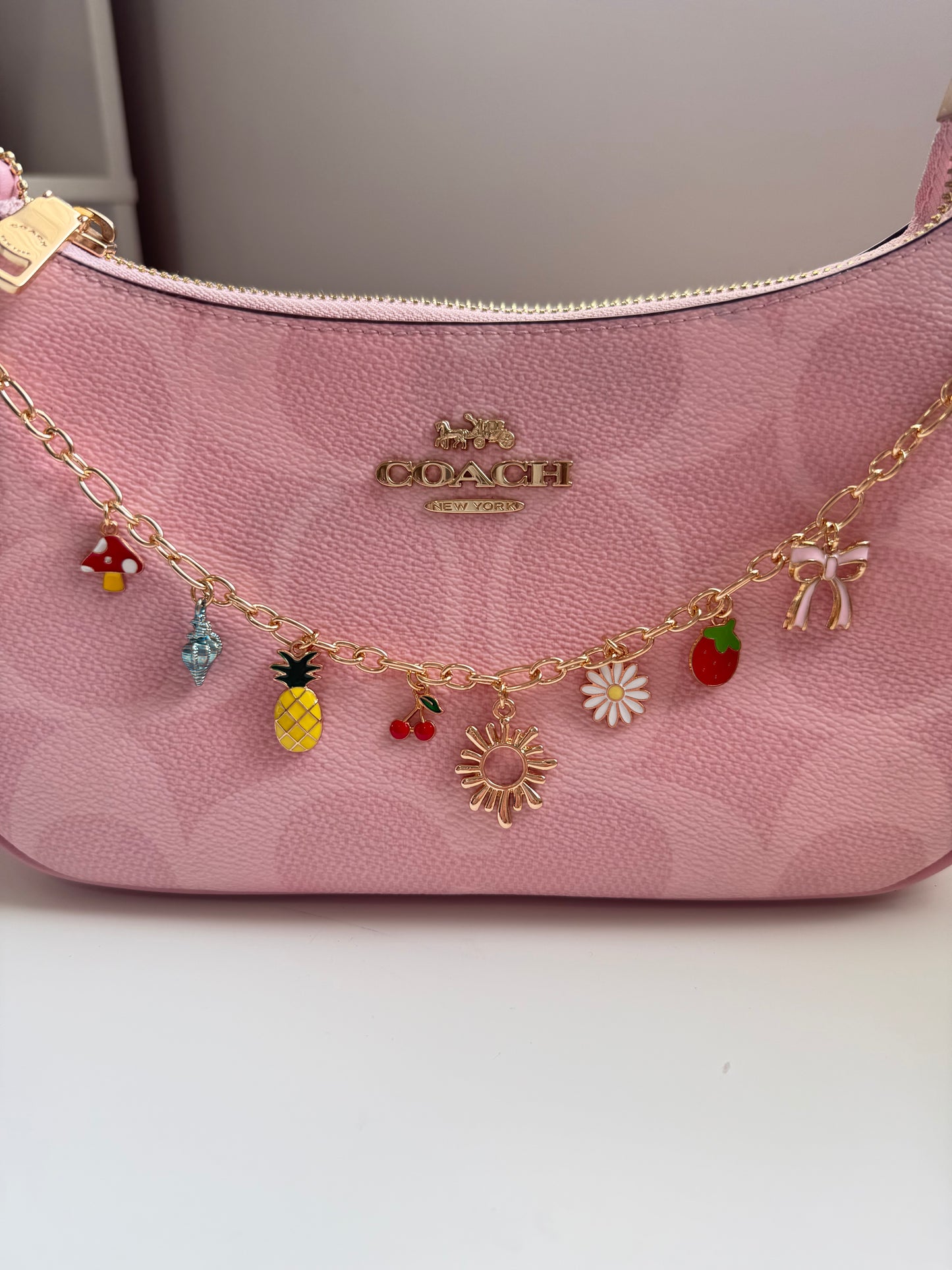 Purse chain with charms🎀
