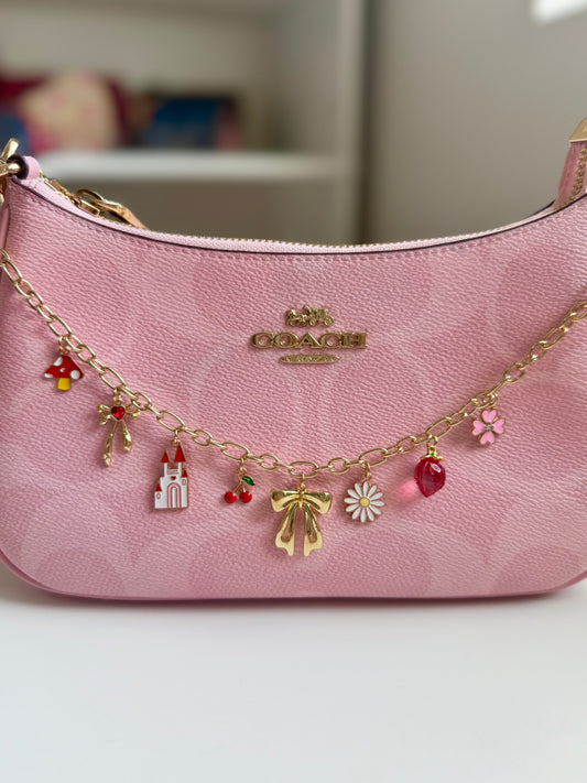 Purse chain with charms🎀